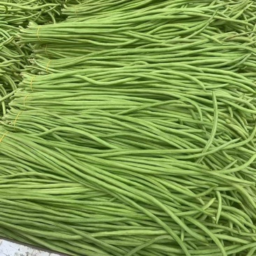 扬眉吐气豆角种子露地大棚豇豆种籽鲜荚翠绿双荚