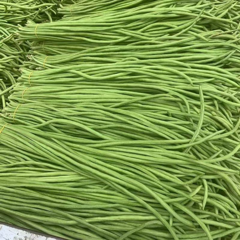扬眉吐气豆角种子露地大棚豇豆种籽鲜荚翠绿双荚