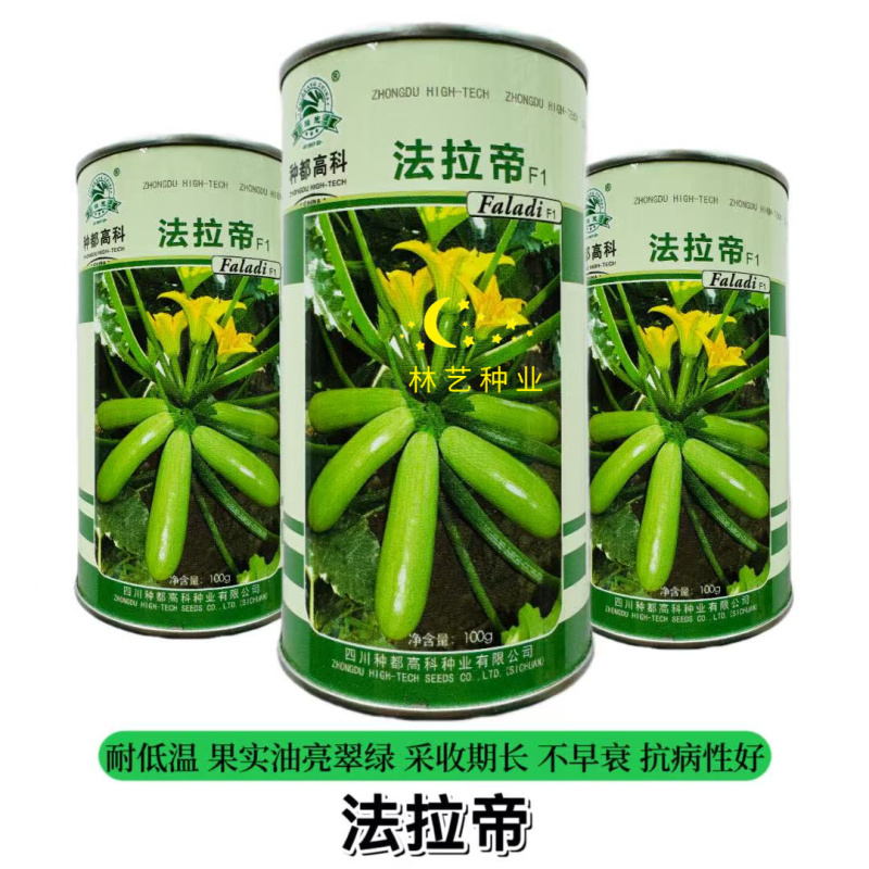 法拉帝西葫芦种子罐装春秋季越冬耐低温弱光油亮翠绿占瓜
