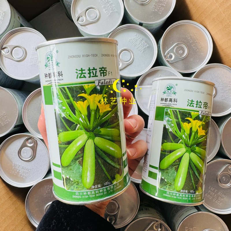 法拉帝西葫芦种子罐装春秋季越冬耐低温弱光油亮翠绿占瓜