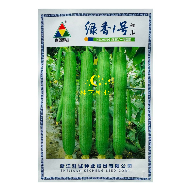 绿香1号丝瓜种子果肉绿白细嫩口感香甜耐热湿早熟强雌高产