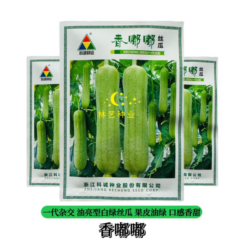 香嘟嘟丝瓜种子早熟油亮白绿丝瓜种籽果肉绿白口感清甜烹饪