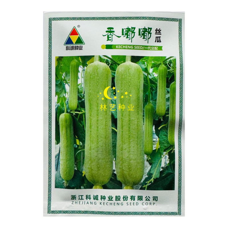 香嘟嘟丝瓜种子早熟油亮白绿丝瓜种籽果肉绿白口感清甜烹饪