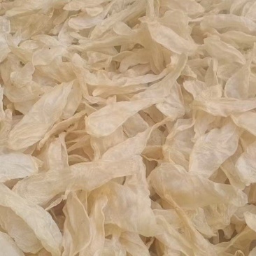 黄花鱼胶=白花胶竹叶胶鸡蛋胶批发零售