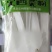 正宗原产地精品定西土豆粉