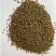 田菁种子别名碱菁涝豆耐涝耐旱土壤改良高产牧草种籽果园绿肥