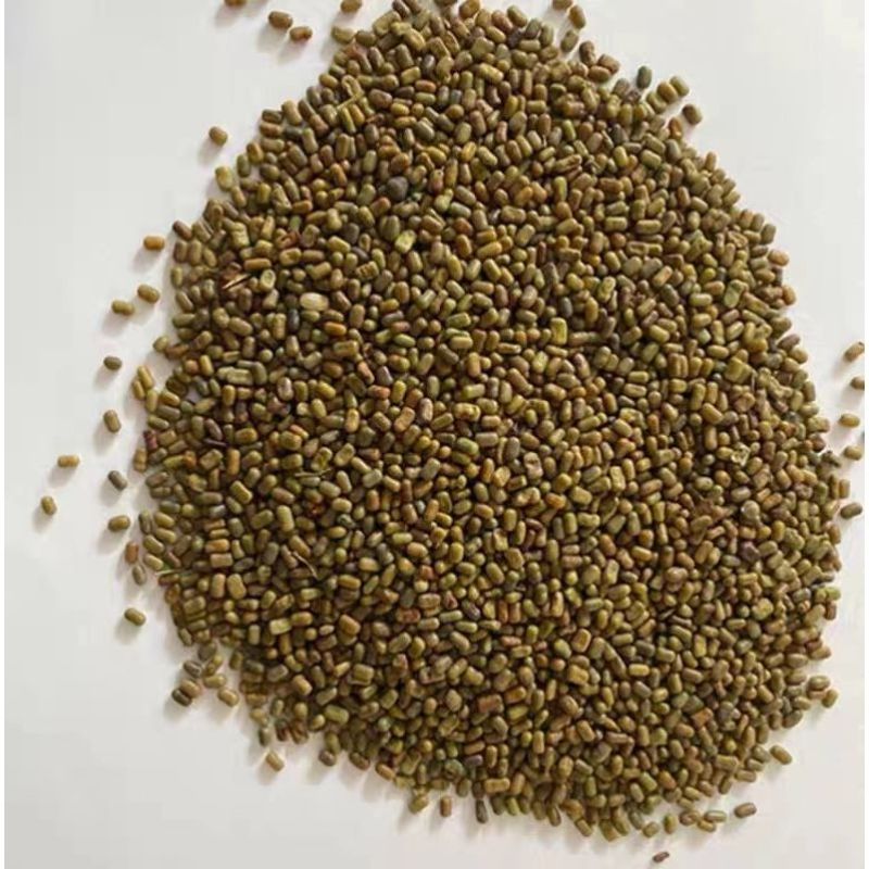 田菁种子别名碱菁涝豆耐涝耐旱土壤改良高产牧草种籽果园绿肥