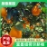 宜昌纽荷尔脐橙产地直发鲜甜多汁九甜一酸入口爆汁现摘现发包