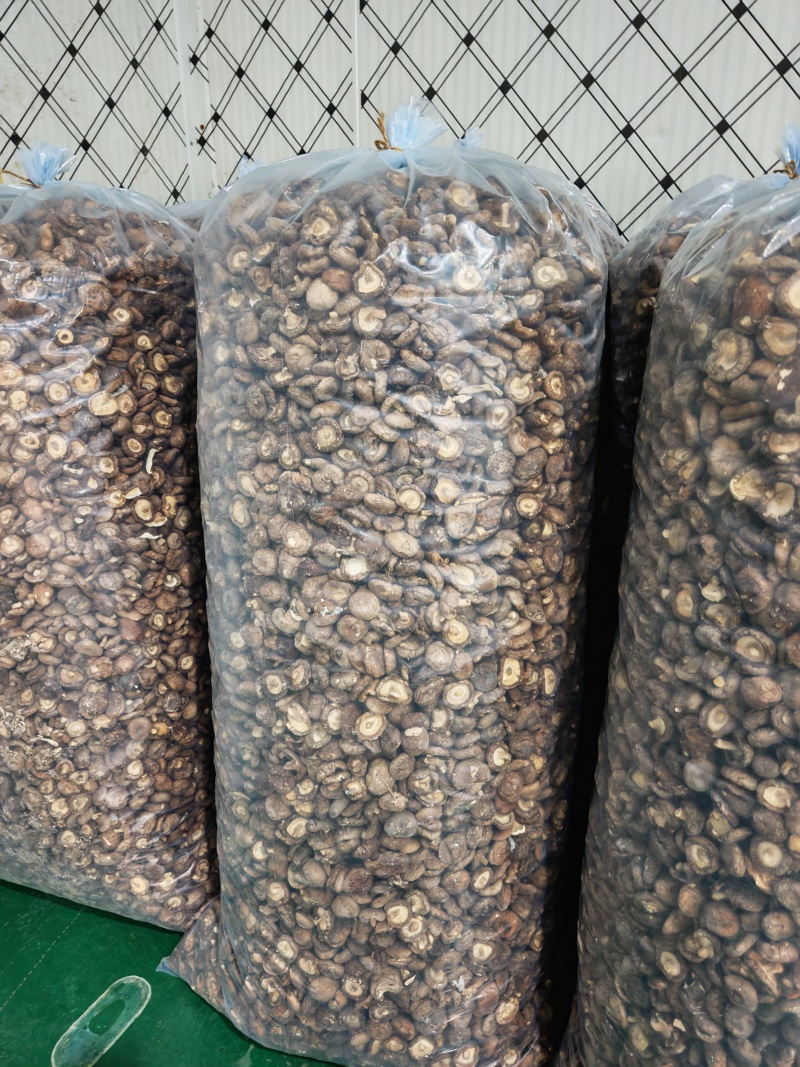 山东干香菇果木香菇蘑菇食用菌
