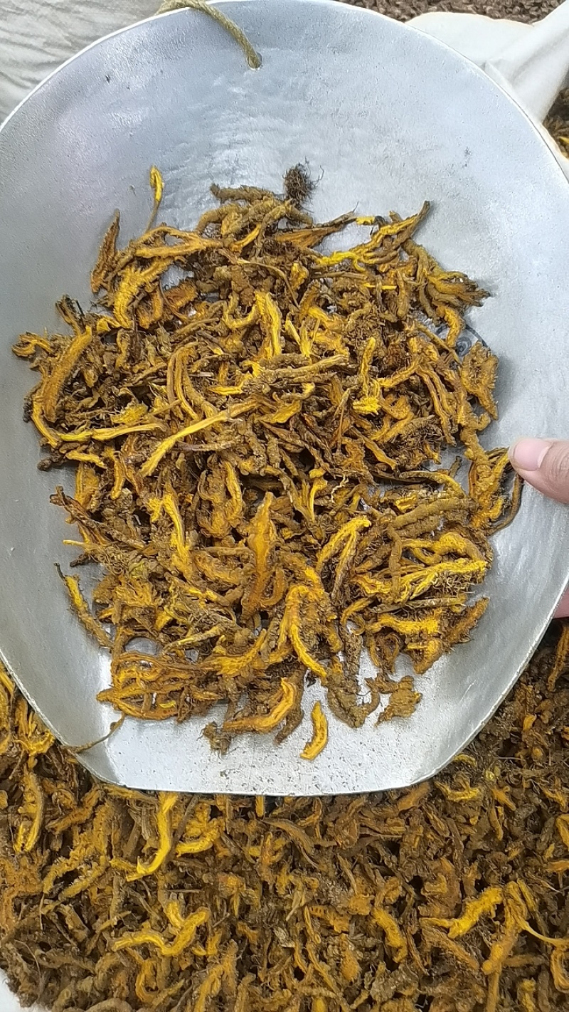 黄连片中药材黄连川黄连新货规格齐全量大从优