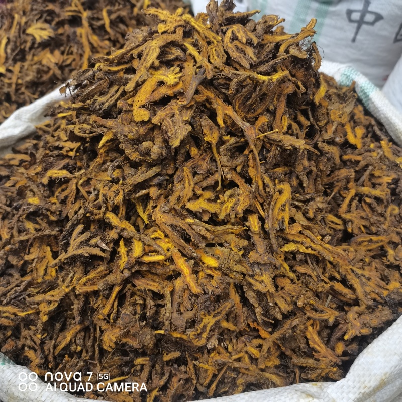 黄连片中药材黄连川黄连新货规格齐全量大从优