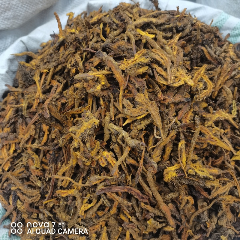 黄连片中药材黄连川黄连新货规格齐全量大从优