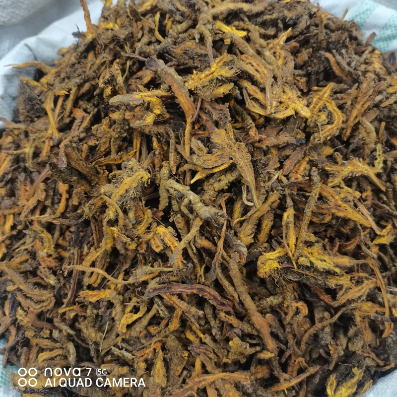 黄连片中药材黄连川黄连新货规格齐全量大从优