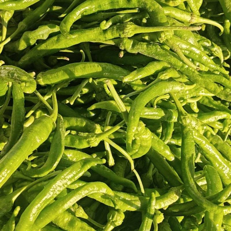 螺丝椒头