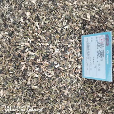 龙葵草中药材龙葵草全颗切断新货质量保证量大从优