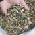 龙葵草中药材龙葵草全颗切断新货质量保证量大从优
