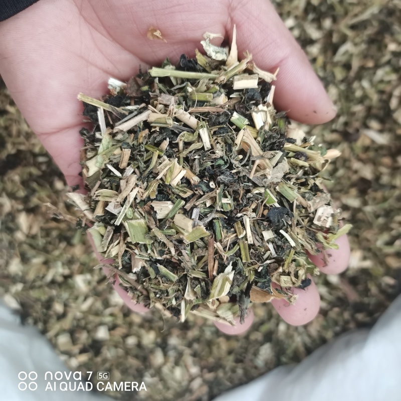 龙葵草中药材龙葵草全颗切断新货质量保证量大从优