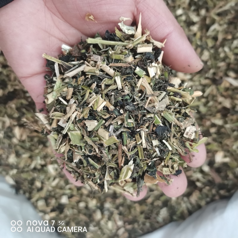 龙葵草中药材龙葵草全颗切断新货质量保证量大从优
