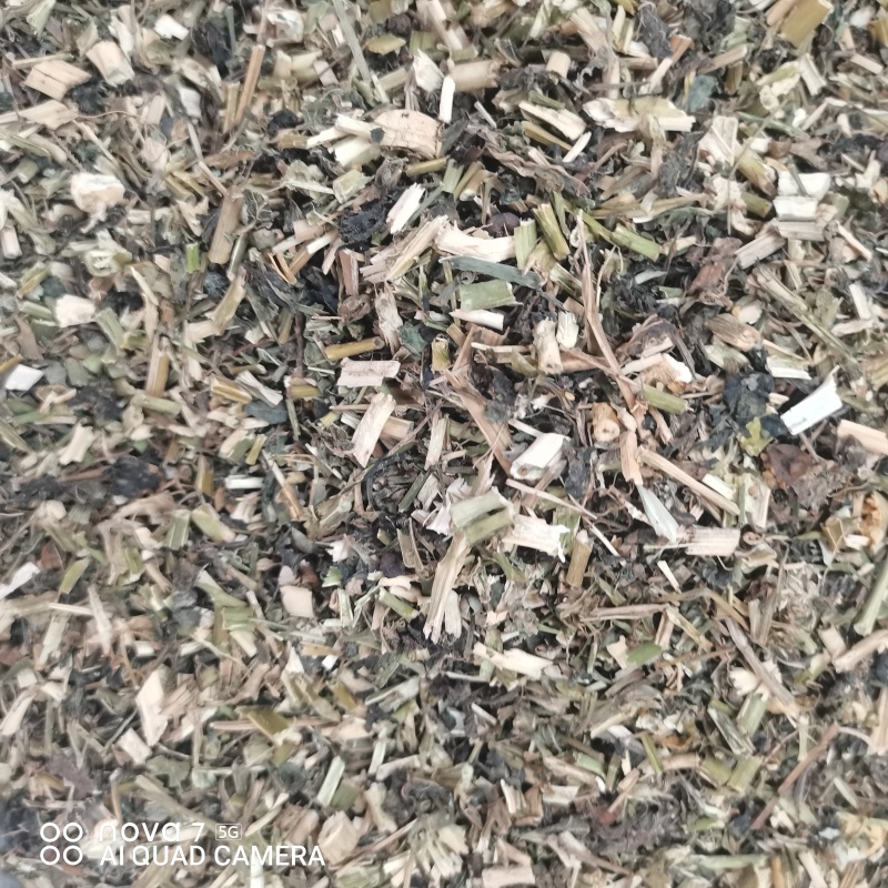 龙葵草中药材龙葵草全颗切断新货质量保证量大从优