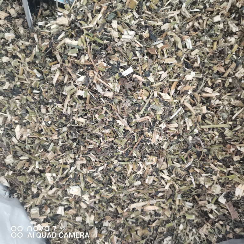 龙葵草中药材龙葵草全颗切断新货质量保证量大从优