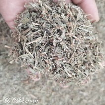 扁蓄中药材扁蓄片猪牙草新货一手货源