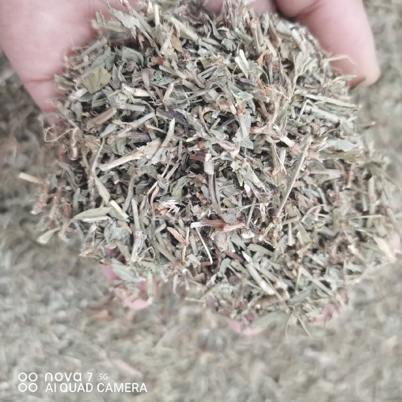 扁蓄中药材扁蓄片猪牙草新货一手货源