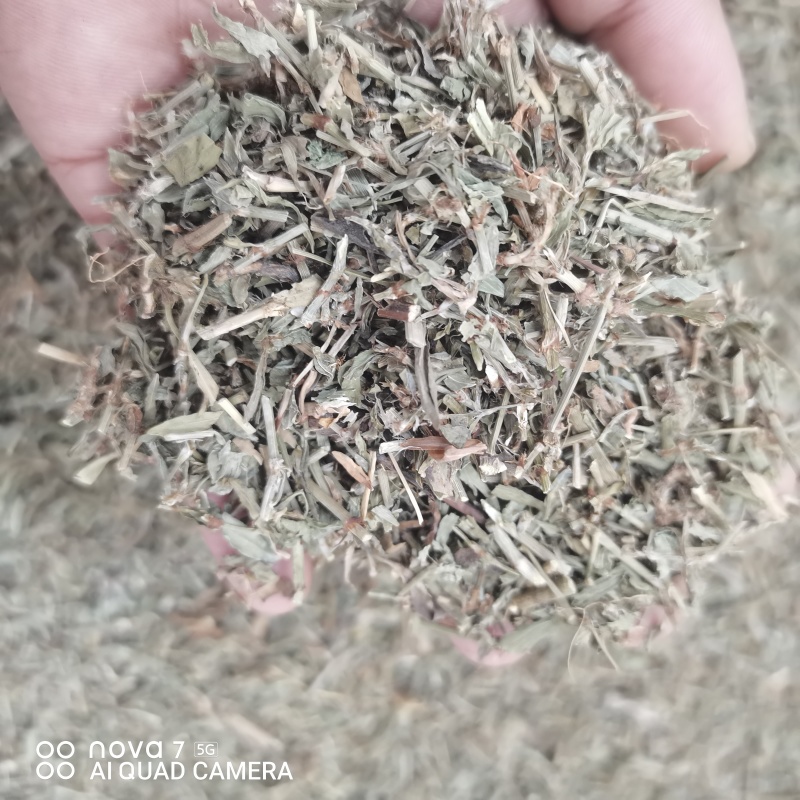 扁蓄中药材扁蓄片猪牙草新货一手货源