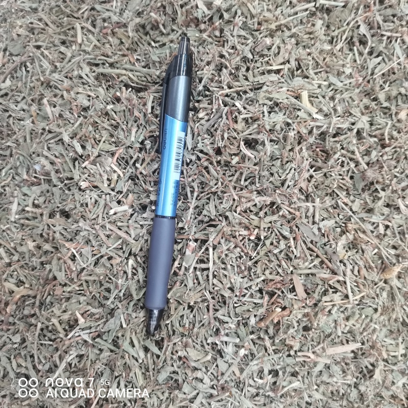 扁蓄中药材扁蓄片猪牙草新货一手货源