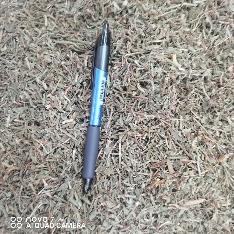 扁蓄中药材扁蓄片猪牙草新货一手货源