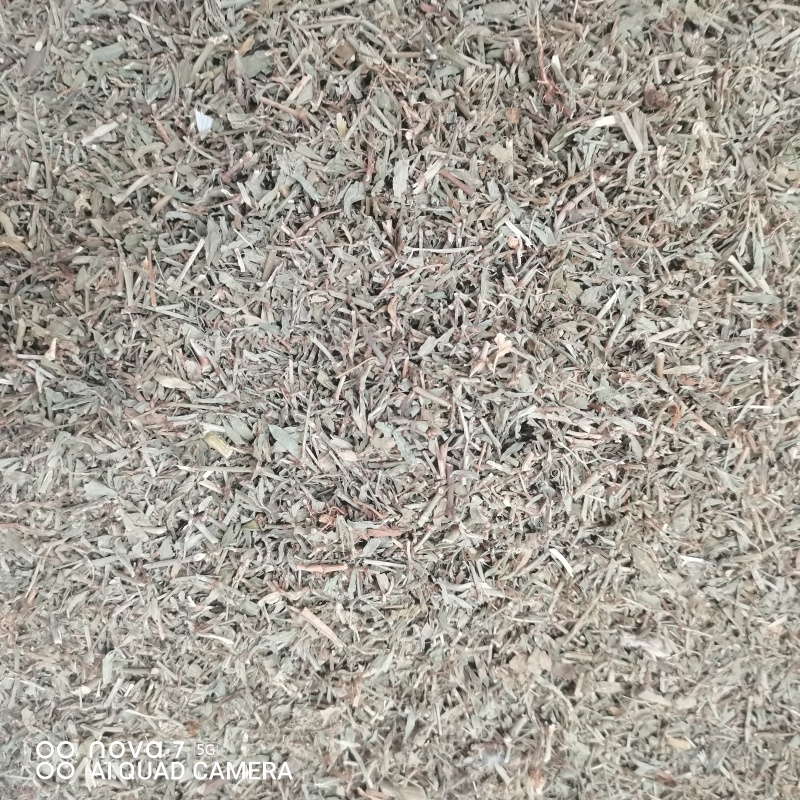 扁蓄中药材扁蓄片猪牙草新货一手货源