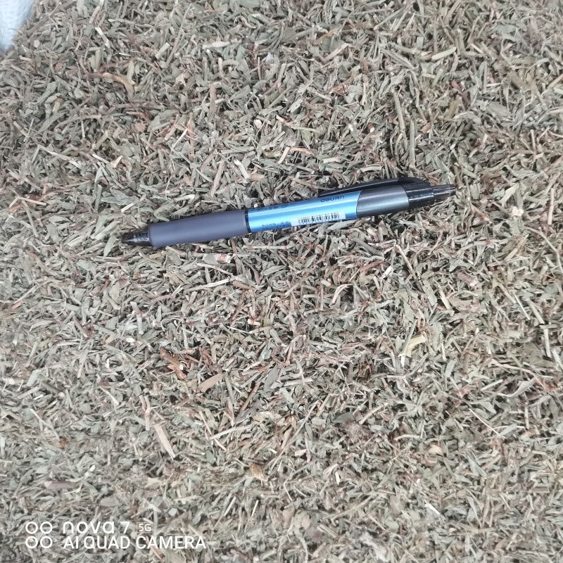 扁蓄中药材扁蓄片猪牙草新货一手货源