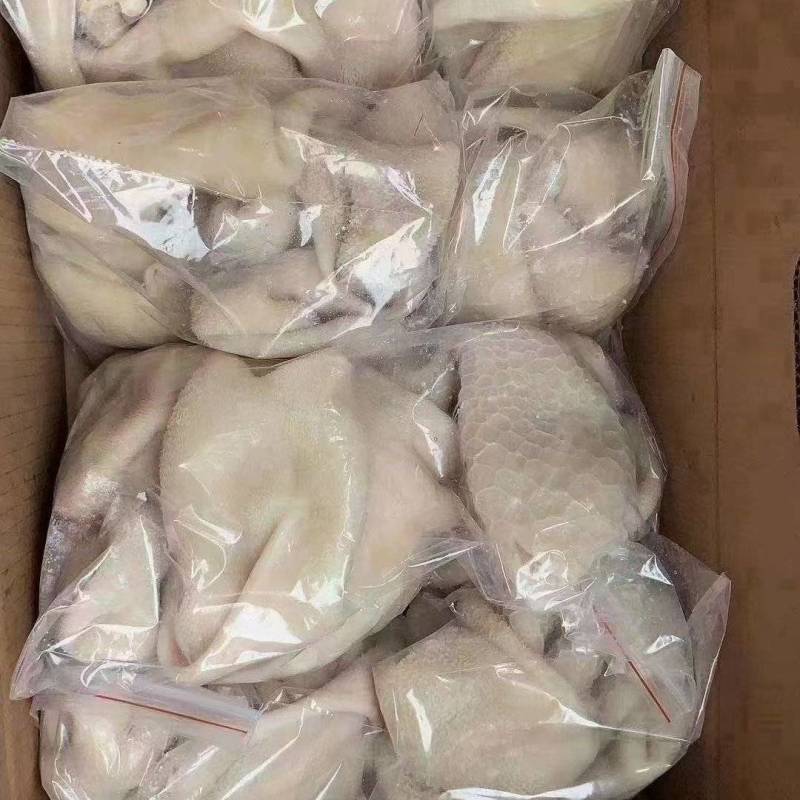 熟羊肚，羊白肚实拍，涮肚熟食店，火锅店，酒店饭店等都