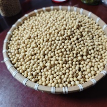 黑龙江今年新下来的有机黄豆大量有货，欢迎老板来咨询，认证齐全