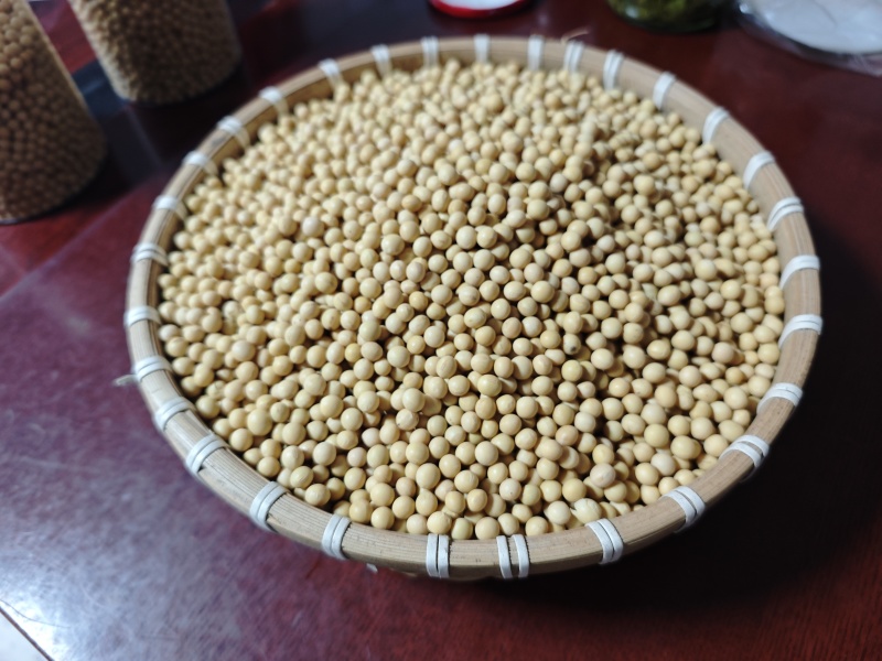 黑龙江今年新下来的有机黄豆大量有货，欢迎老板来咨询，认证齐全