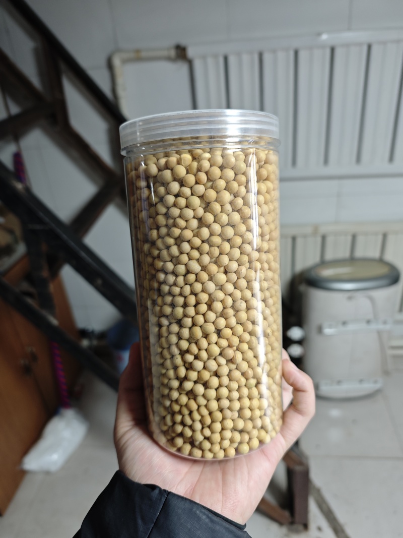 黑龙江今年新下来的有机黄豆大量有货，欢迎老板来咨询，认证齐全