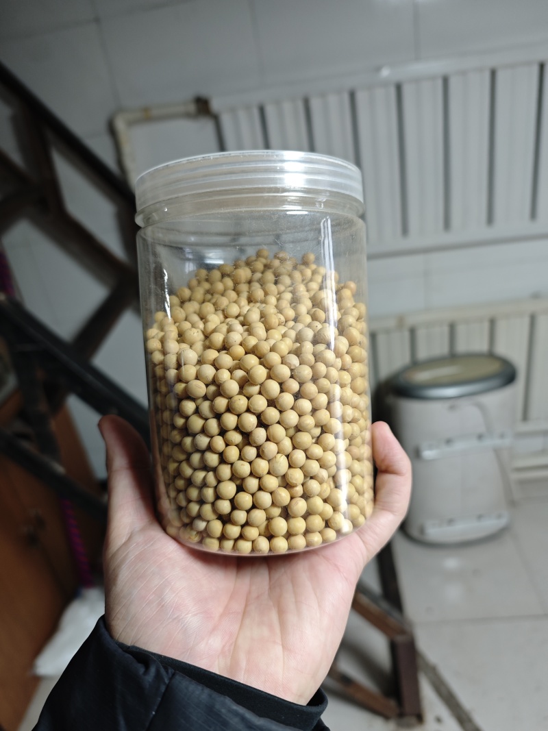 黑龙江今年新下来的有机黄豆大量有货，欢迎老板来咨询，认证齐全