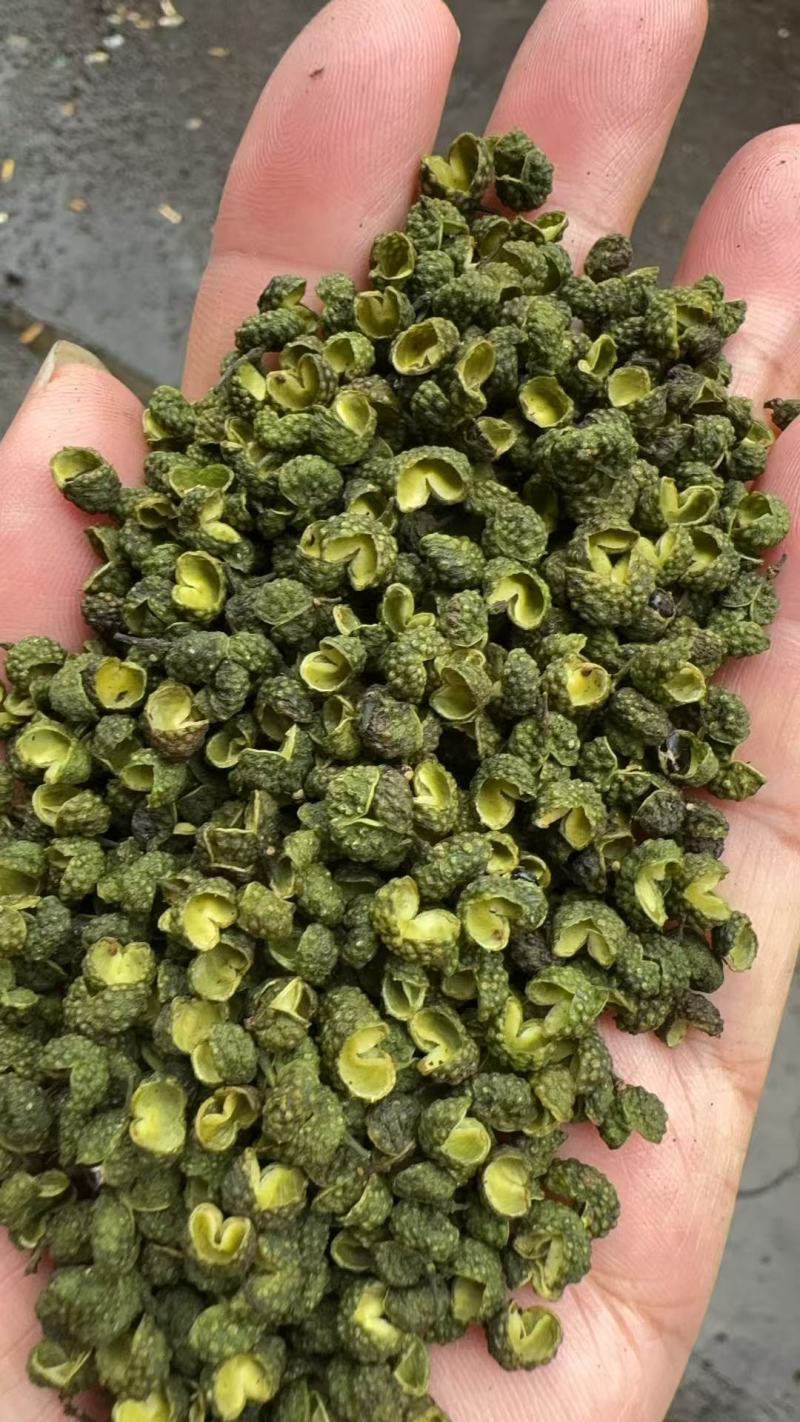 2025丫丫青麻椒净货，开口好麻度高和陕西大青稞