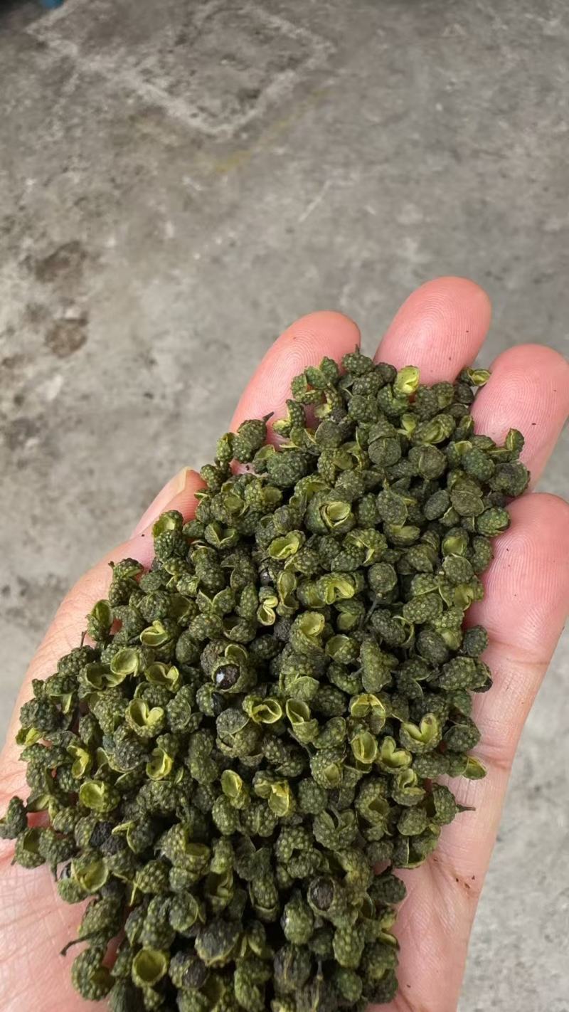 2025丫丫青麻椒净货，开口好麻度高和陕西大青稞