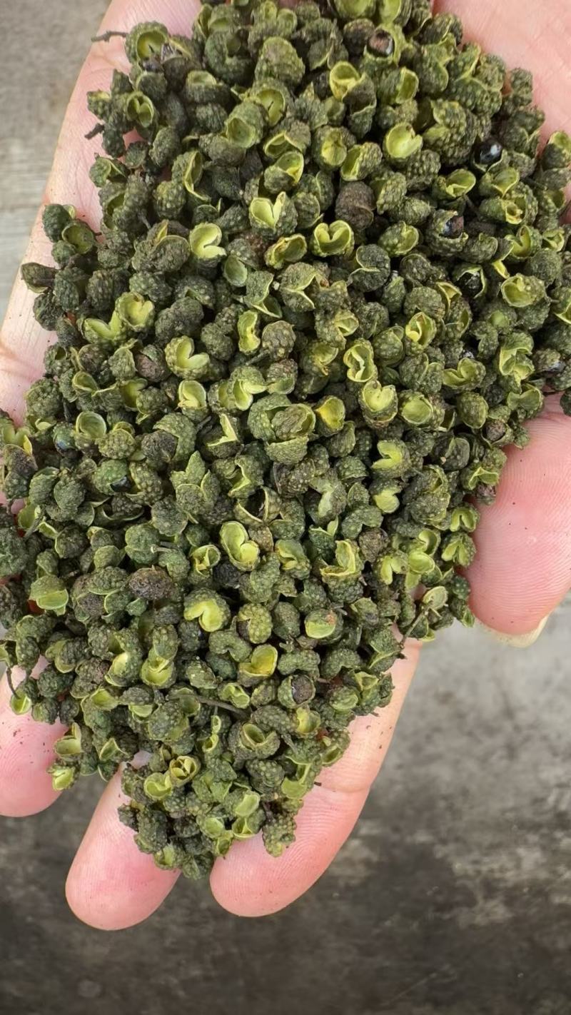 2025丫丫青麻椒净货，开口好麻度高和陕西大青稞