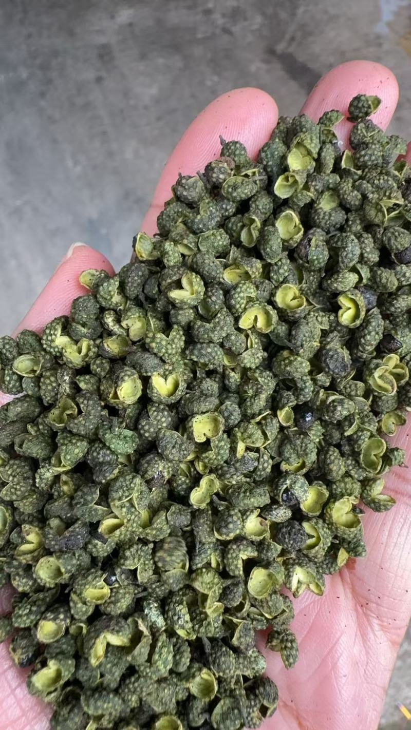 2025丫丫青麻椒净货，开口好麻度高和陕西大青稞