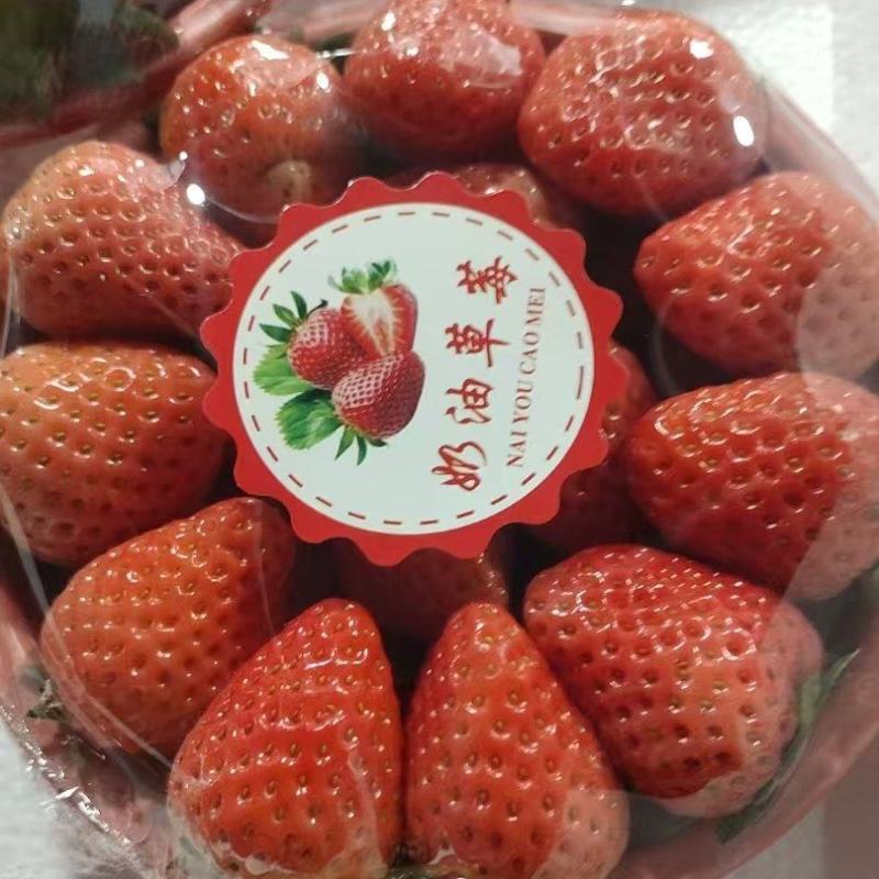 江苏宁玉草莓清甜可口对接全国量大从优价格美丽欢迎采购