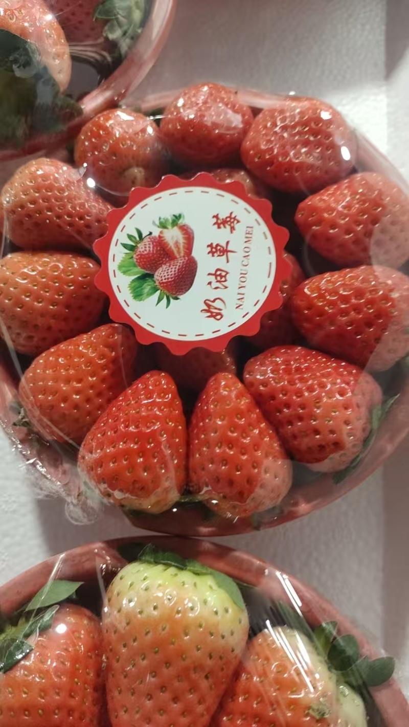 江苏宁玉草莓清甜可口对接全国量大从优价格美丽欢迎采购
