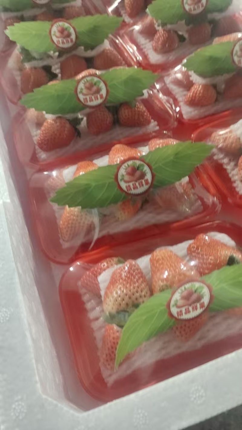 江苏宁玉草莓清甜可口对接全国量大从优价格美丽欢迎采购