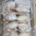 工厂直发一级三黄鸡9只