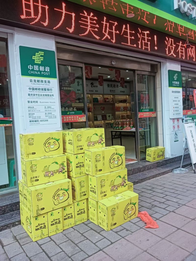 重庆梁平黄心柚子，汁水丰富，不酸，口感软，