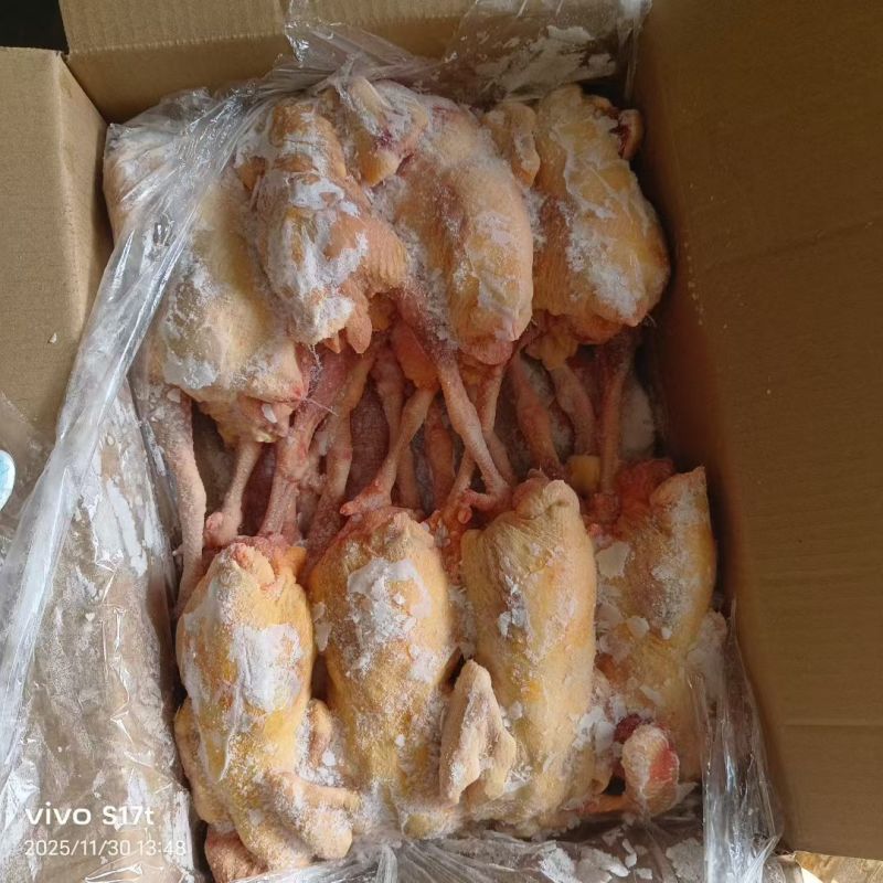 工厂直发，一级老母鸡