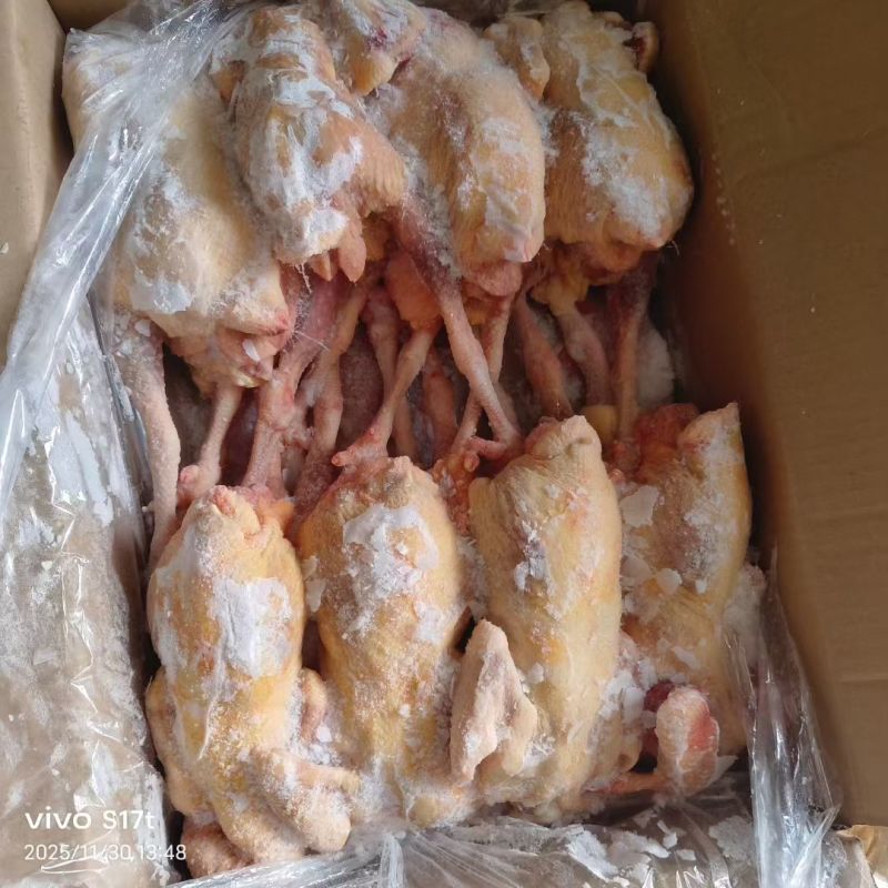工厂直发，一级老母鸡
