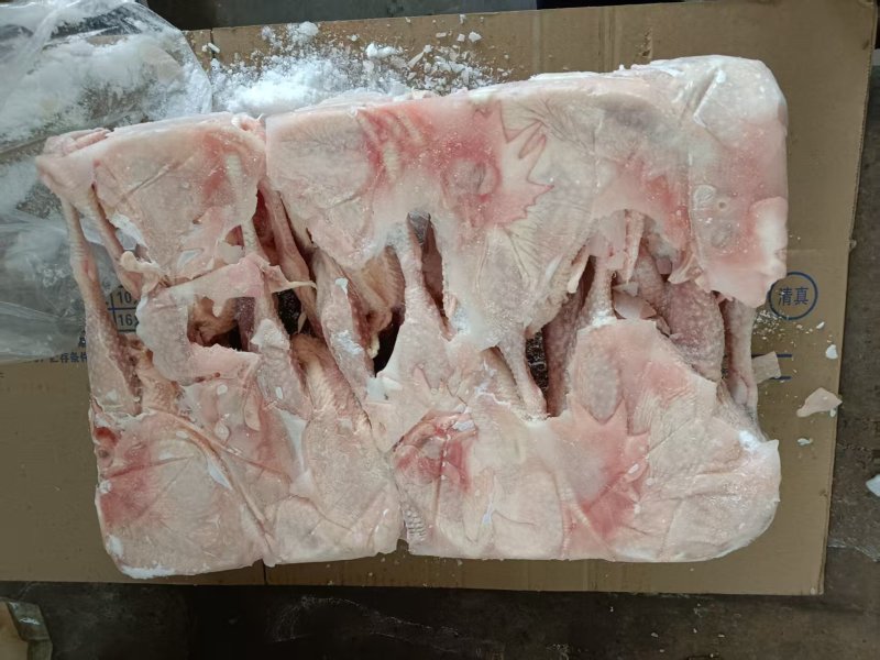 工厂直发，一级老母鸡