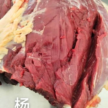 牦牛肉青海牦牛肉高原草膘牦牛肉新鲜无水牛肉包邮