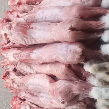 兔子批发